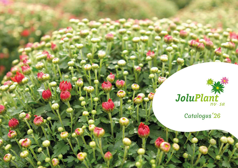 Joluplant cataloog 2026