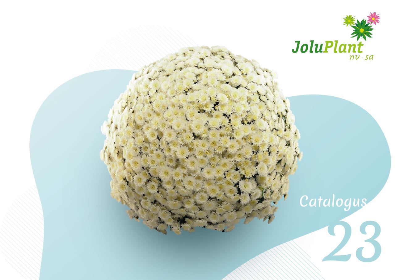 Joluplant catalog 2021